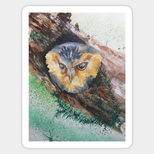 Peeping Owl Sticker